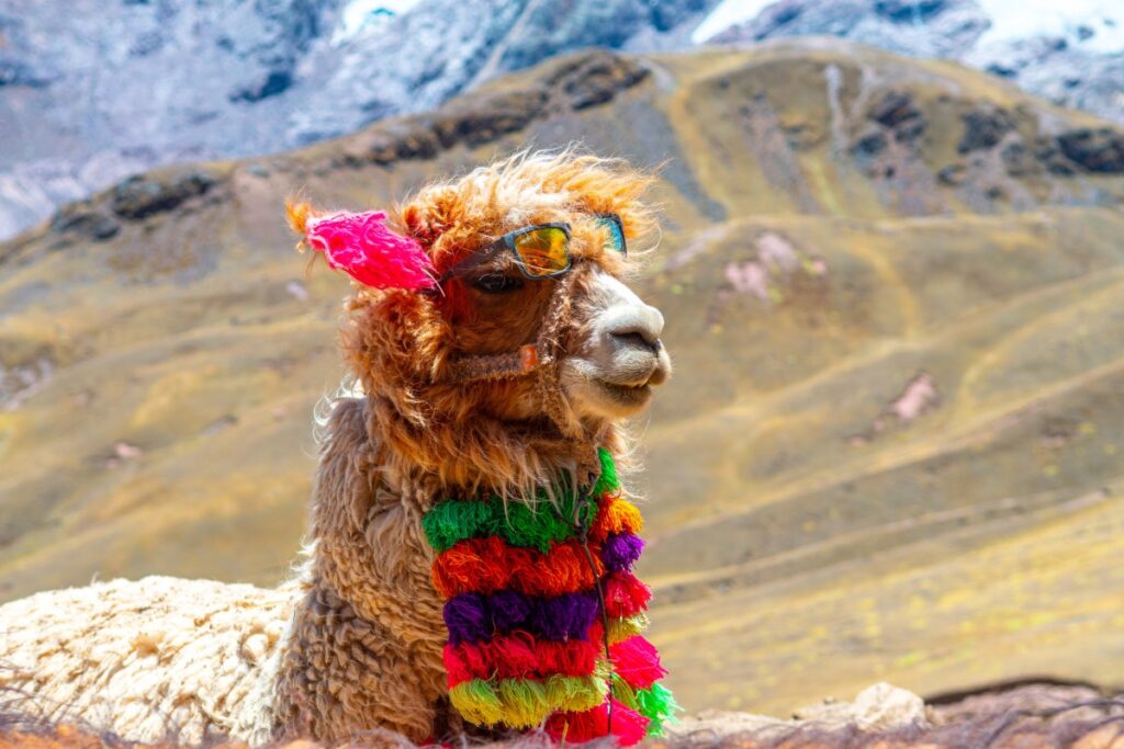 alpaca-raises-$52m-series-c-to-take-its-api-brokerage-platform-to-new-markets-|-techcrunch